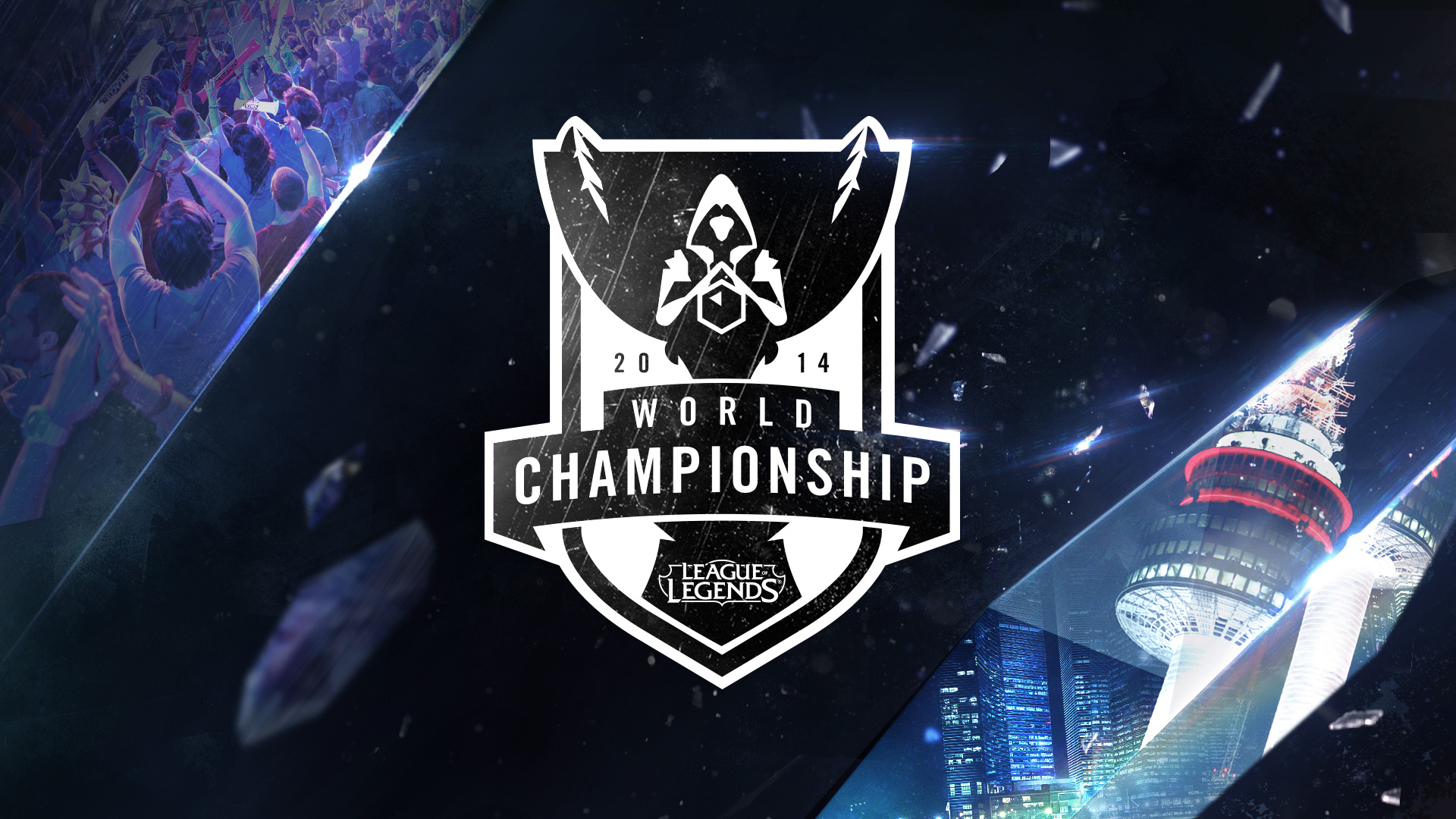 的肌肉链 的肌肉链