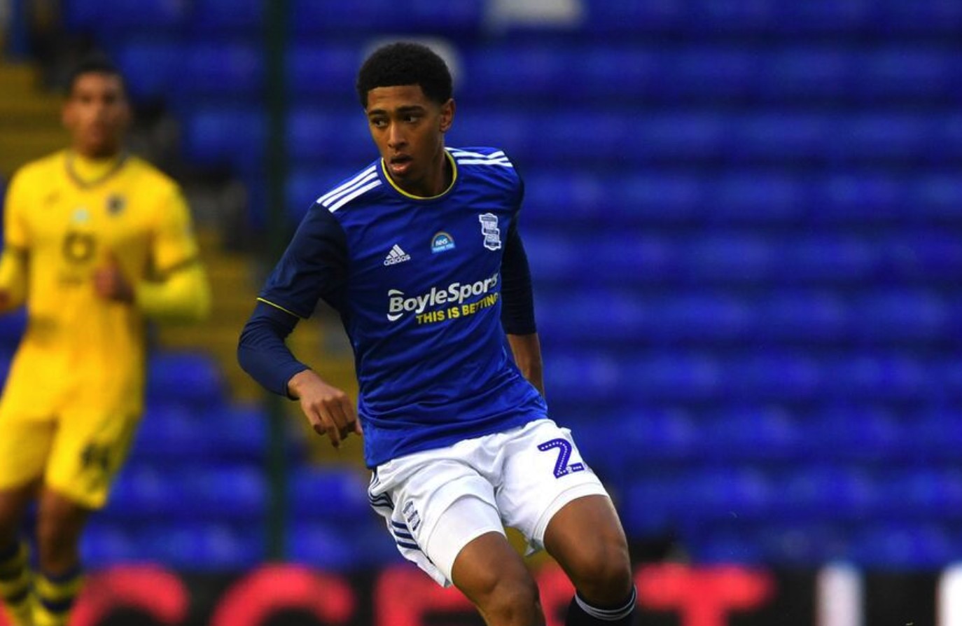 多伦多蓝鸟 多伦多蓝鸟