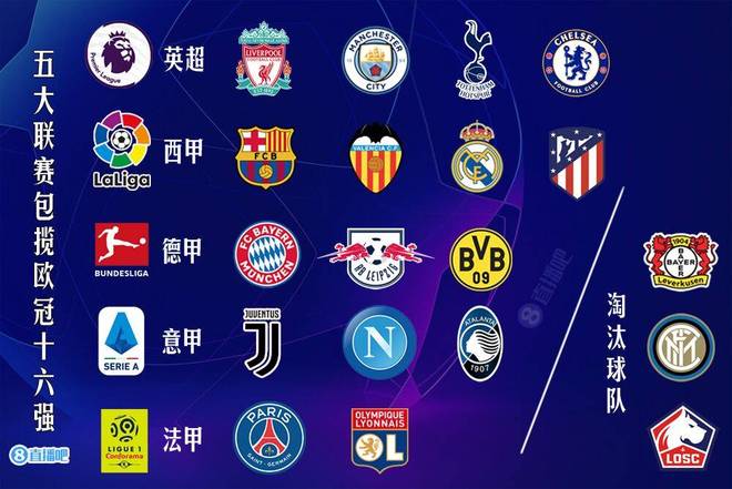 而非真正的 而非真正的